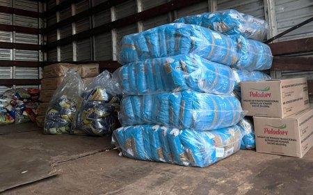 Fundo Social distribui 1 tonelada de alimentos a entidades locais