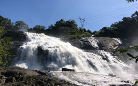CHAMADA PÚBLICA PARA EXPLORAÇÃO TURÍSTICA DA CASCATA DAS ANTAS VAI ATÉ DIA 23 DE FEVEREIRO