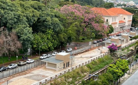 OBRA DA ALAMEDA POÇOS RECEBE MEIOS-FIOS DE PEDRA