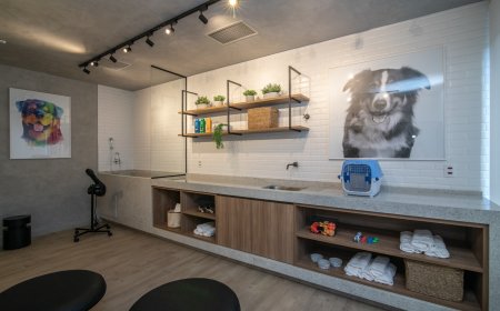 Pets impulsionam mudanças no setor da construção civil