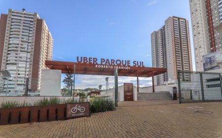 Perplan promove ação de plantio de mudas no Dia da Árvore*