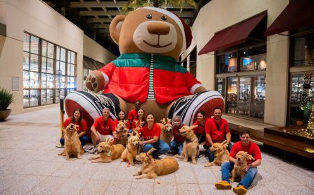 Alerta fofura! Iguatemi Ribeirão Preto realiza encontro de pets com Papai Noel no mês de dezembro