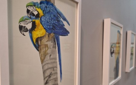 Exposição “Inside Out”, da artista Zaza Amaral, estreia no ShoppingSantaÚrsula
