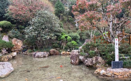 Recanto Japonês de Poços de Caldas reabre após Revitalização