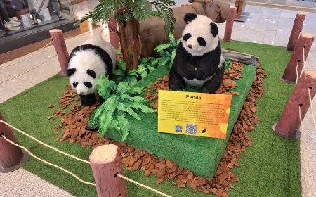 Últimos dias de férias: ShoppingSantaÚrsula oferece diversão para todas as idades