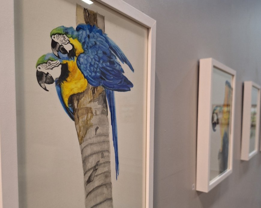 Exposição “Inside Out”, da artista Zaza Amaral, estreia no ShoppingSantaÚrsula
