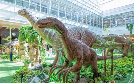 RibeirãoShopping prorroga exposição Dino’s Alive e Dragões