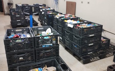 Bloco Califórnia arrecada cerca de 3 toneladas de alimentos para o Fundo Social de Ribeirão Preto