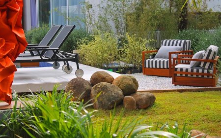 Conceito de slow home influencia consumo e reforça casa como refúgio urbano