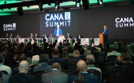 Produtor de cana avança com novas estratégias para reduzir custos e ampliar produtividade