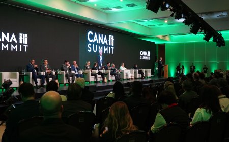 Juros elevados e crédito mais restrito colocam fluxo de investimentos na cana em debate