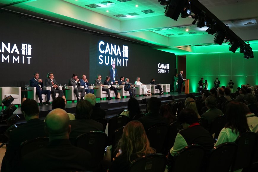 Juros elevados e crédito mais restrito colocam fluxo de investimentos na cana em debate