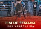 Bruno & Marrone, Zezé Di Camargo e rodeio da LNR agitam o último fim de semana da Expoagro Guaxupé 2026