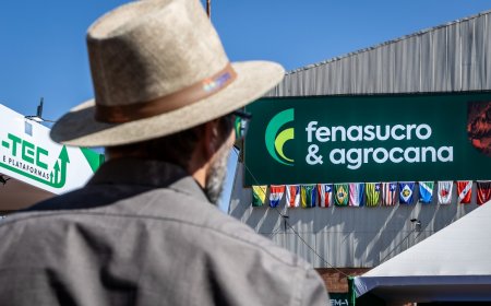 Frota pesada: biometano une potencial energético à baixa emissão de carbono na operação