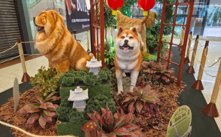 ShoppingSantaÚrsula reúne atração inspirada no universo dos pets durante as férias