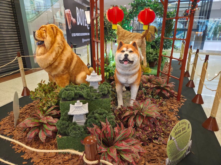 ShoppingSantaÚrsula reúne atração inspirada no universo dos pets durante as férias
