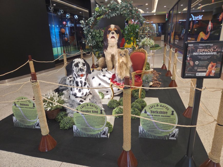 Férias escolares ampliam busca por experiências fora das telas no ShoppingSantaÚrsula