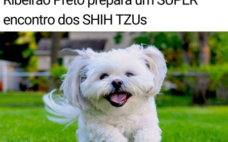 FOTOS - ENCONTRO DE SHIH-TZUS — RIBEIRÃO PRETO 2026