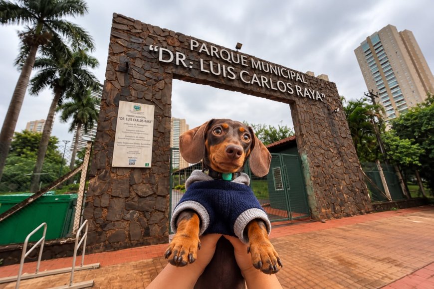 Oktoberfest recebe SUPER ENCONTRINHO DOS SALSICHAS no Parque Raya